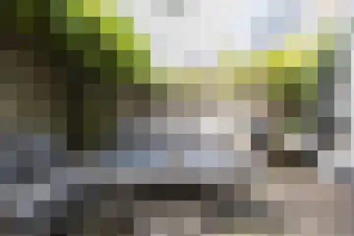 Klaverstraat 35 Utrecht thumbnail 36
