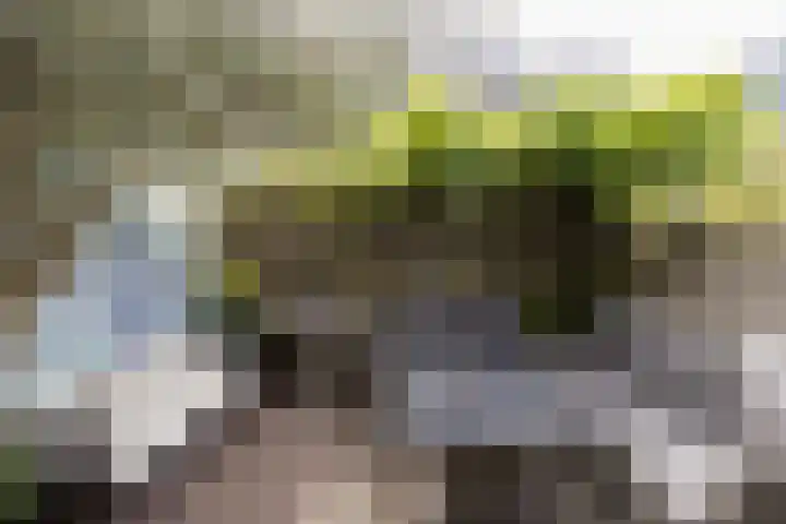 Klaverstraat 35 Utrecht thumbnail 37