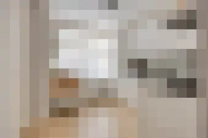 Klaverstraat 38 Tilburg thumbnail 11