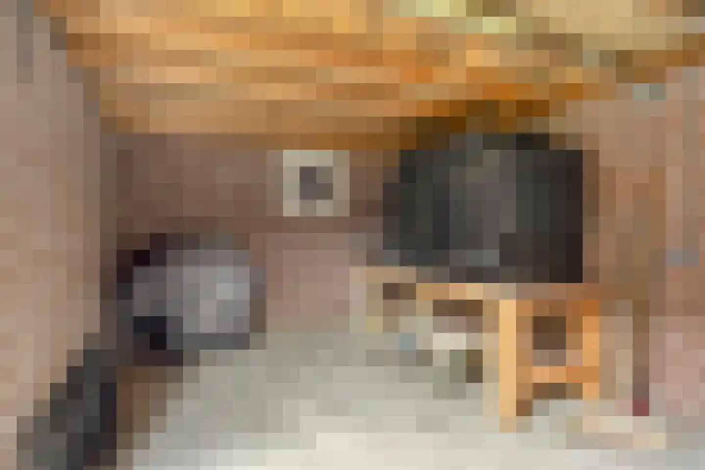 Klaverstraat 4 Rheden thumbnail 23