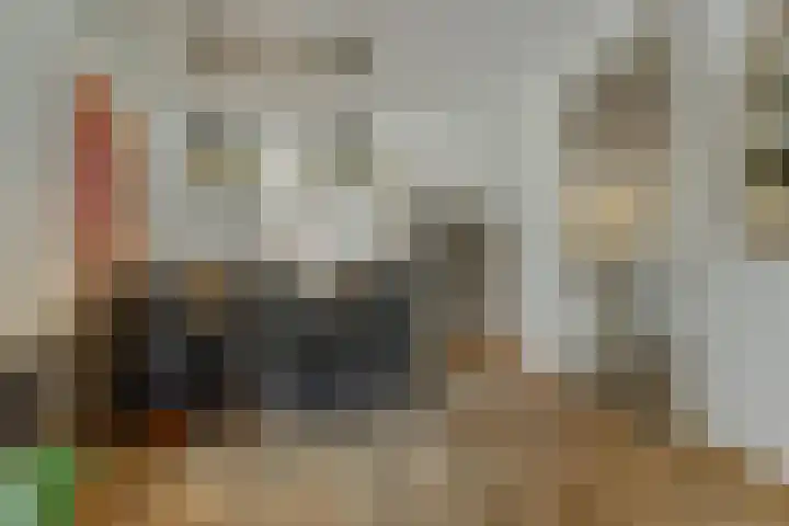 Klaverstraat 5 Bergeijk thumbnail 13