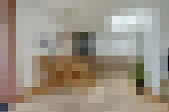 Klaverstraat 5 Bergeijk thumbnail 14