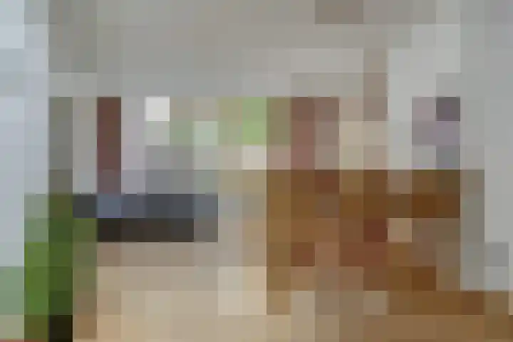 Klaverstraat 5 Bergeijk thumbnail 15
