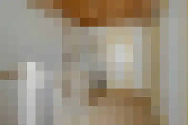 Klaverstraat 5 Bergeijk thumbnail 27