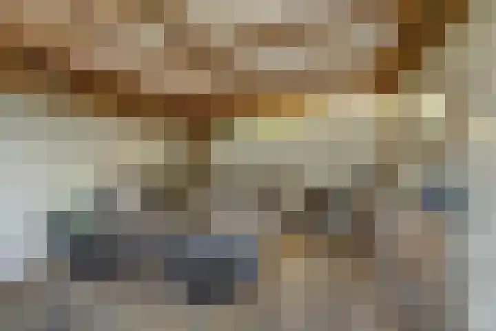 Klaverstraat 5 Bergeijk thumbnail 34