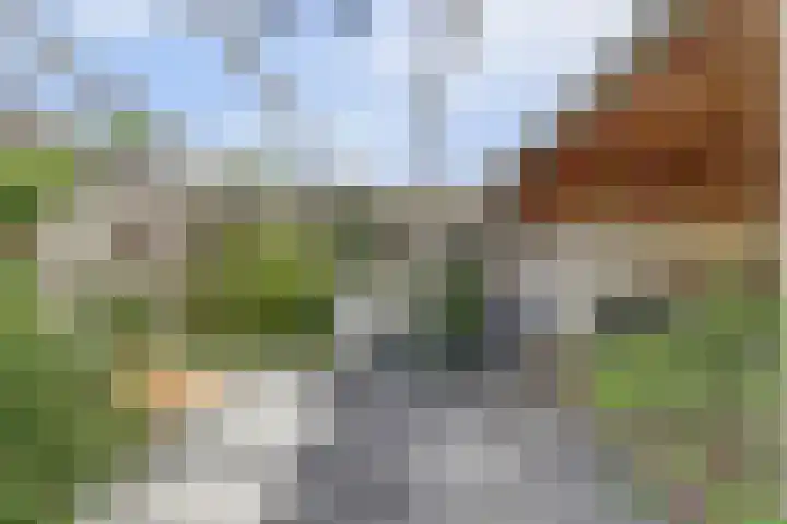 Klaverstraat 5 Bergeijk thumbnail 37