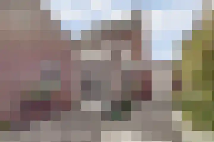 Klaverstraat 5 Bergeijk thumbnail 38