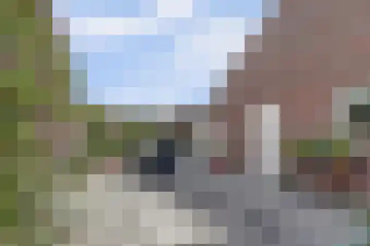 Klaverstraat 5 Bergeijk thumbnail 5