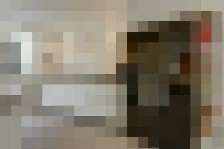 Klaverstraat 5 Bergeijk thumbnail 9