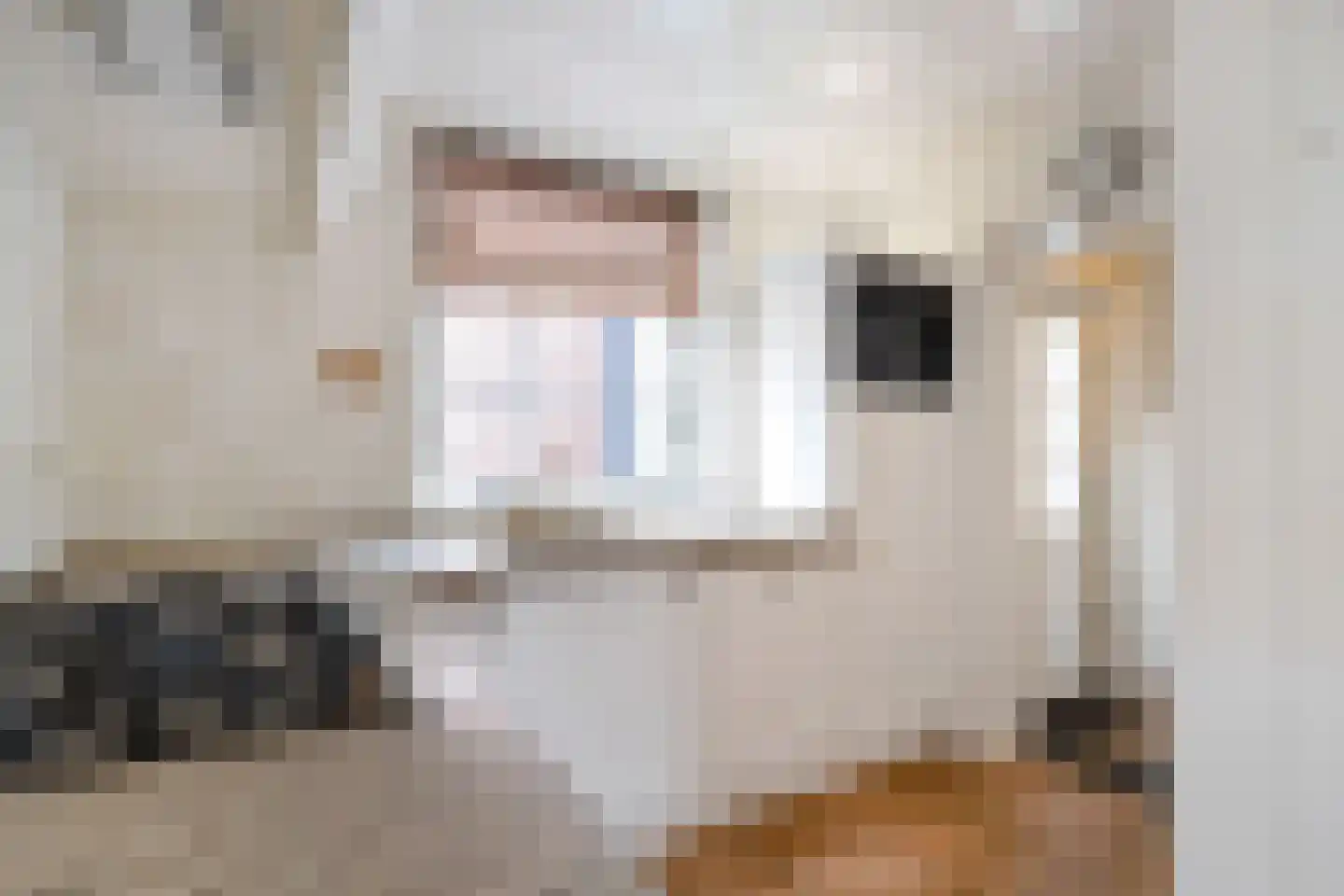 Klaverstraat 5 Julianadorp thumbnail 10