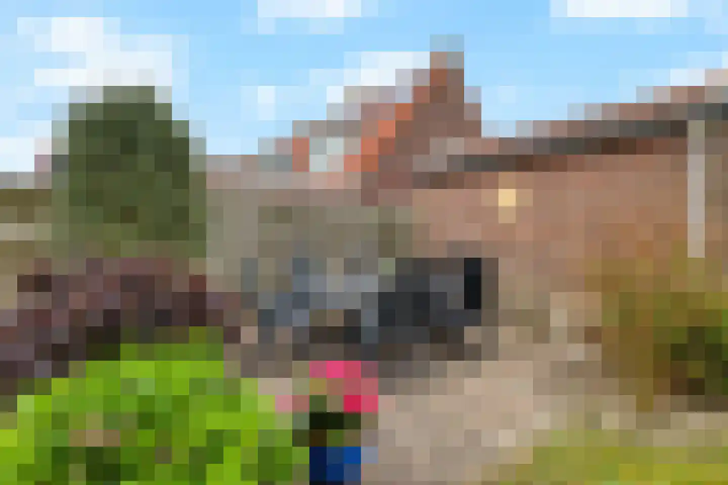 Klaverstraat 5 Julianadorp thumbnail 33