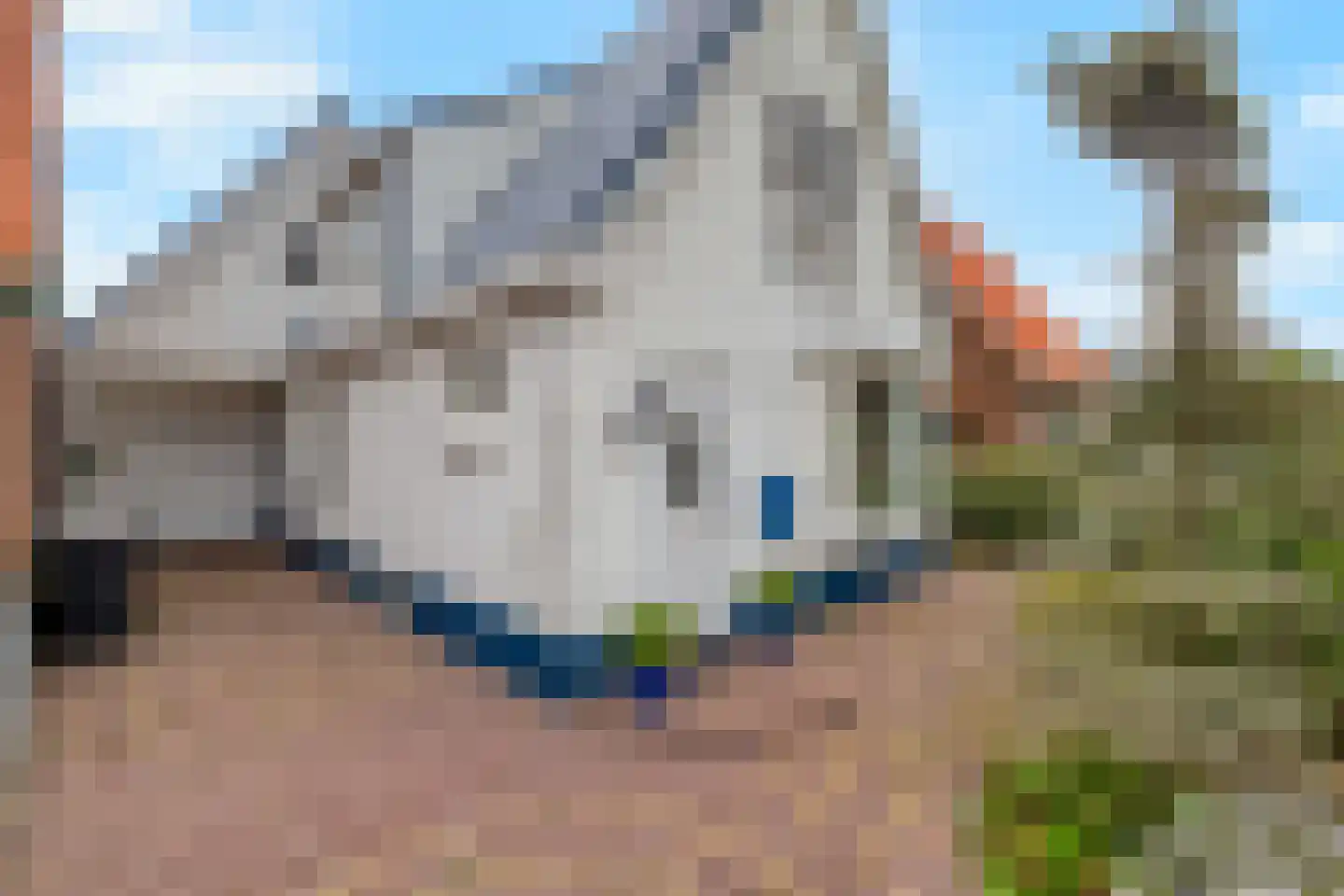 Klaverstraat 5 Julianadorp thumbnail 35