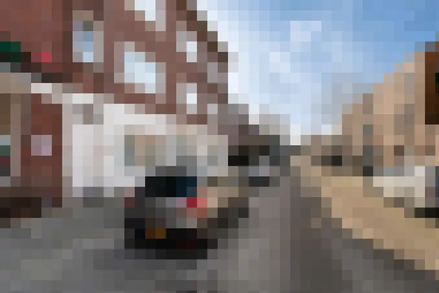 Klaverstraat 6 A Rotterdam thumbnail 38