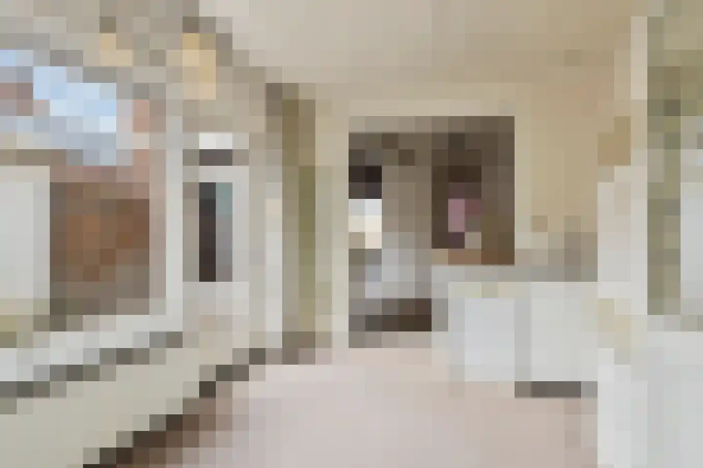 Klaverstraat 7 Bergeijk thumbnail 10