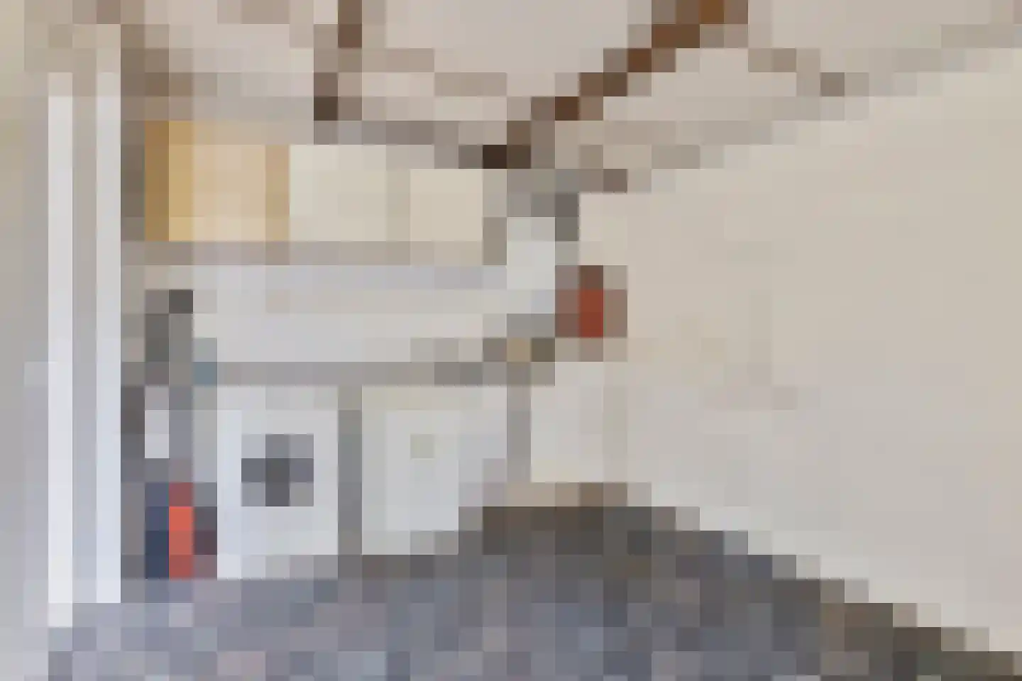 Klaverstraat 7 Bergeijk thumbnail 12