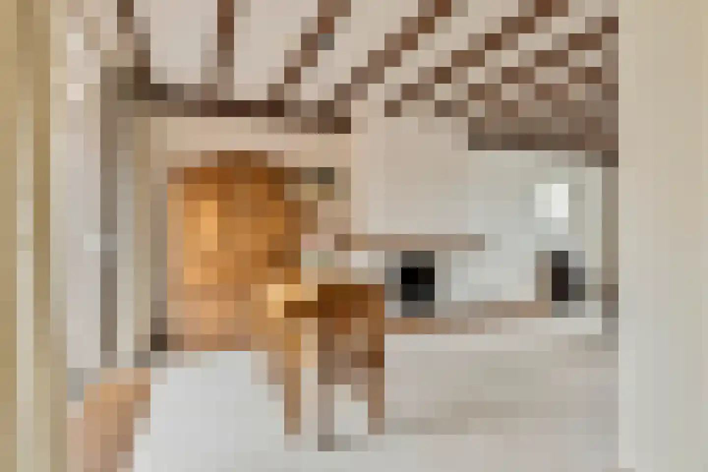 Klaverstraat 7 Bergeijk thumbnail 6
