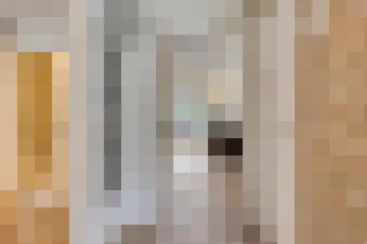 Klaverstraat 73 Scharendijke thumbnail 5