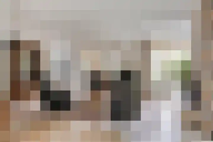 Klaverstraat 73 Scharendijke thumbnail 9