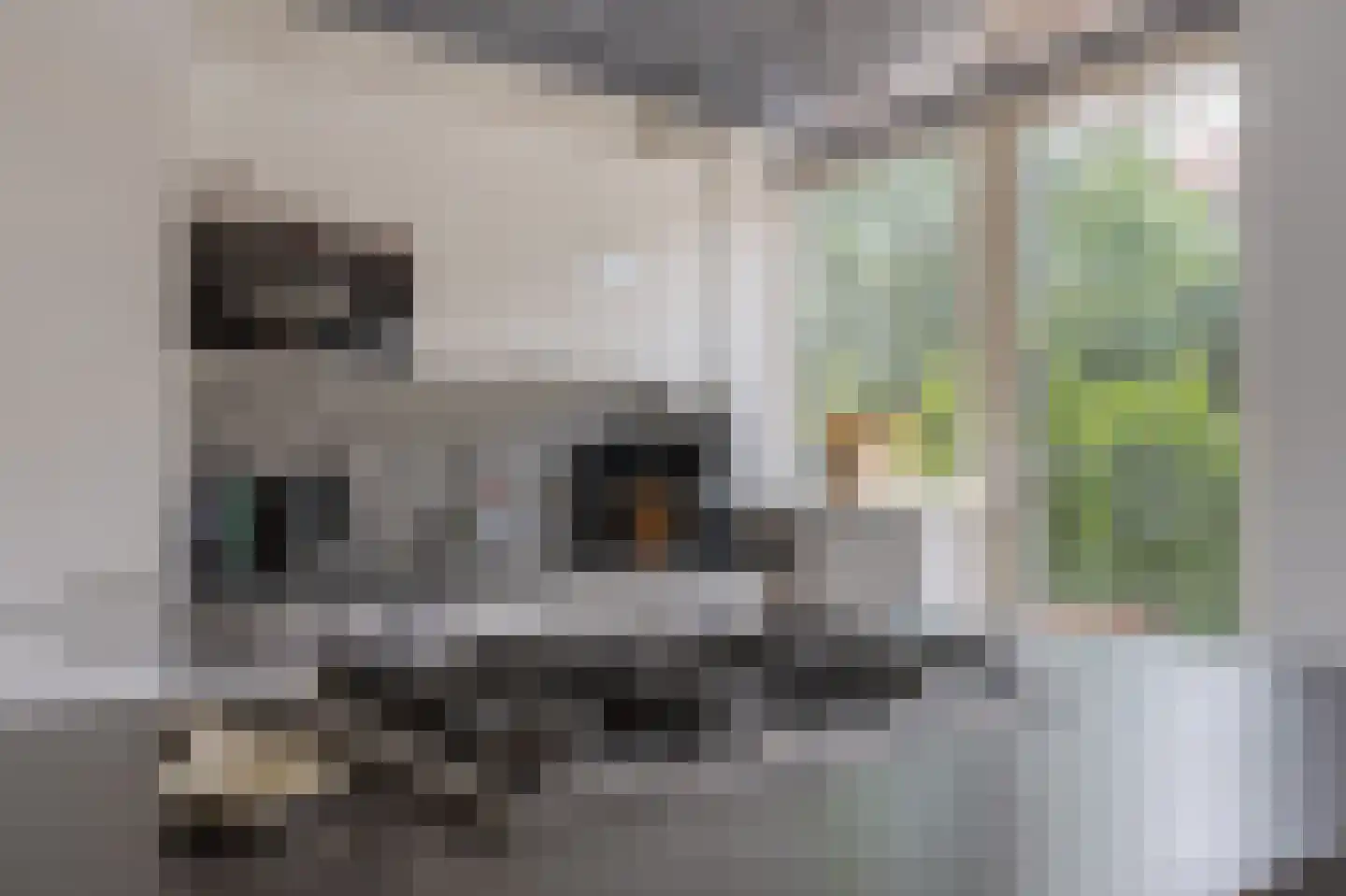 Klaverstraat 77 A Rotterdam thumbnail 4