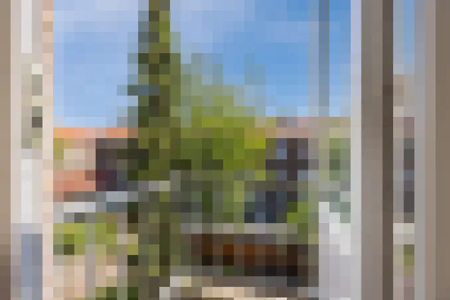 Klaverstraat 84 C Rotterdam thumbnail 6