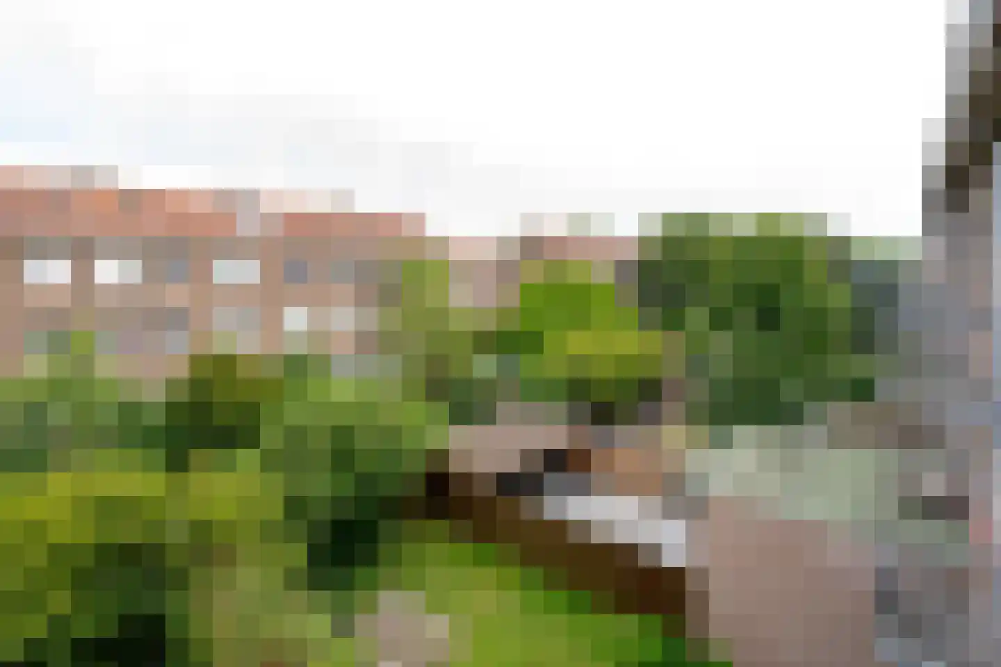 Klaverstraat 98 C Rotterdam thumbnail 18