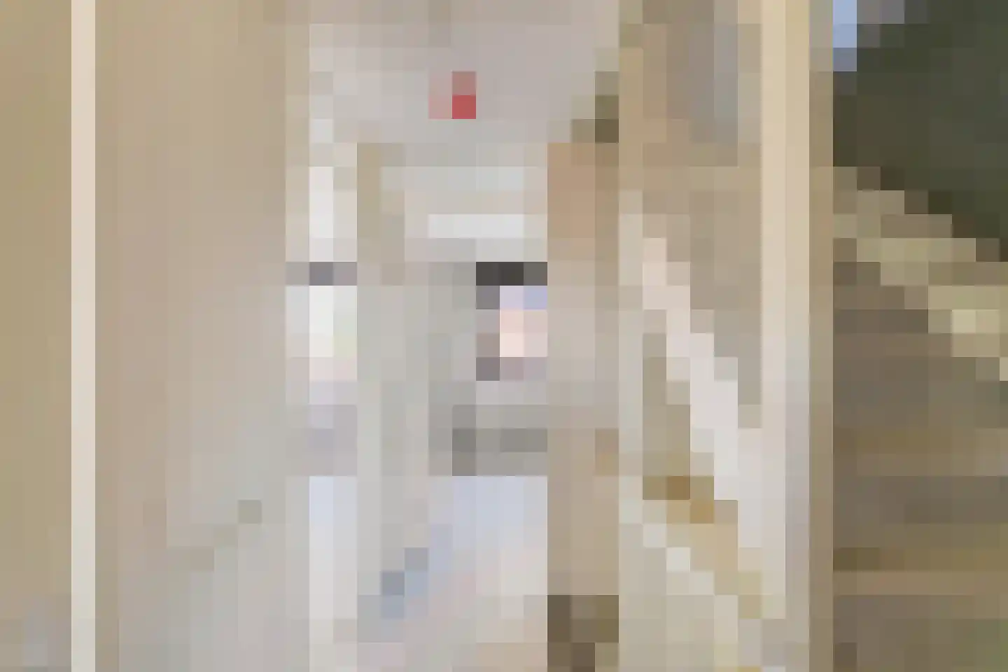 Klaverstuk 18 Zuidhorn thumbnail 22