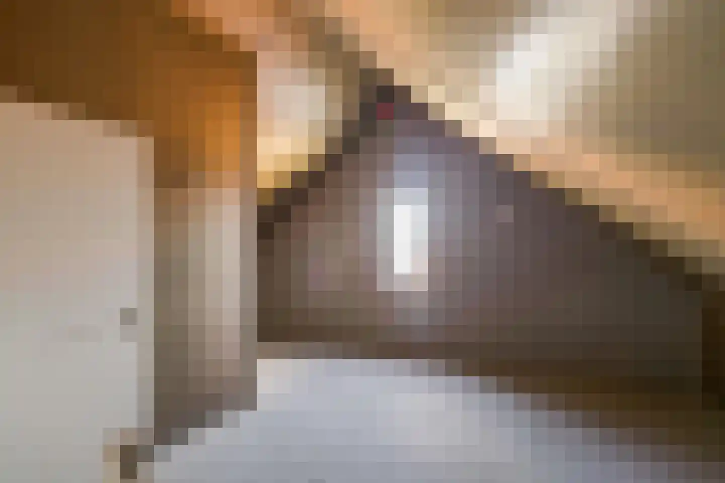 Klaverstuk 18 Zuidhorn thumbnail 25