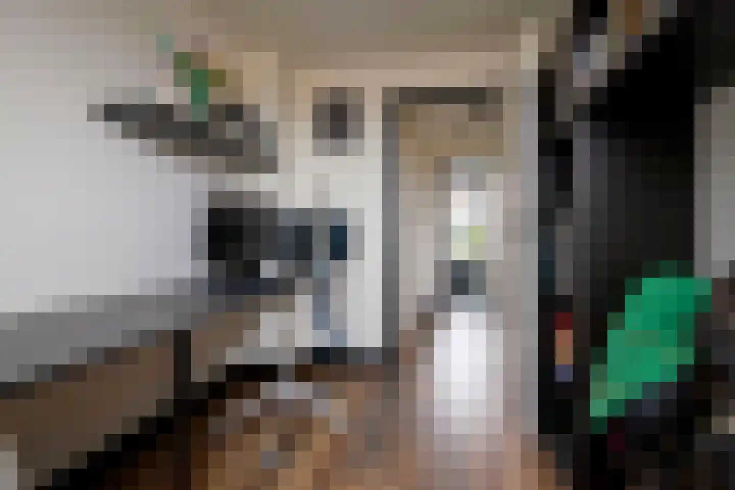 Klaverveld 1 Nieuw-Vennep thumbnail 40