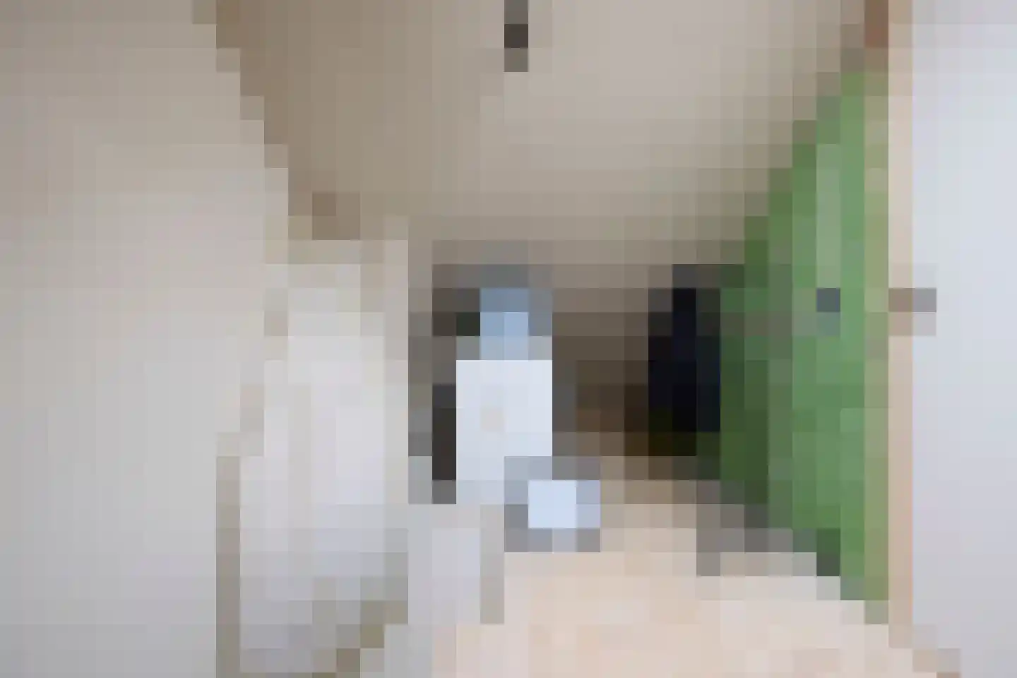 Klaverveld 1 Nieuw-Vennep thumbnail 42