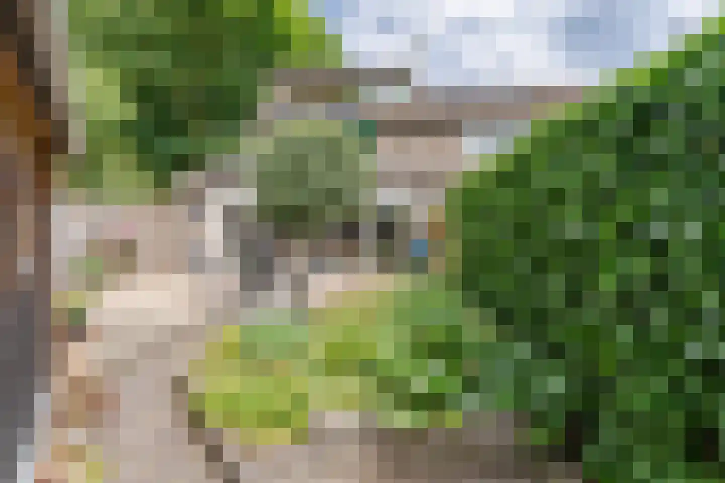 Klaverveld 1 Waddinxveen thumbnail 11