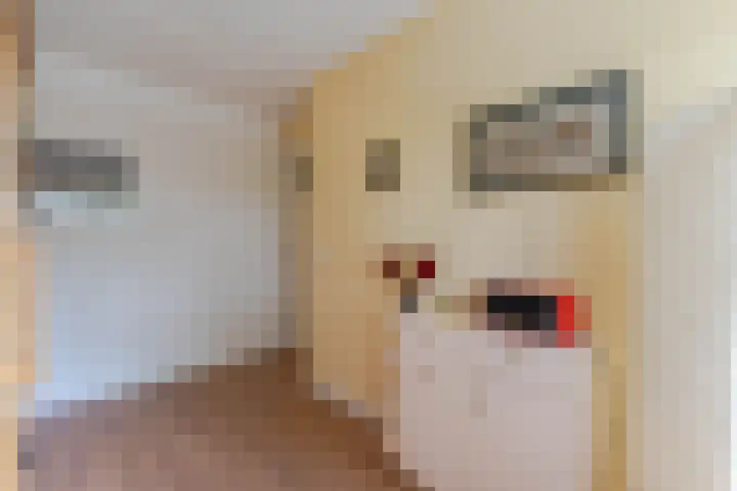Klaverveld 1 Waddinxveen thumbnail 20