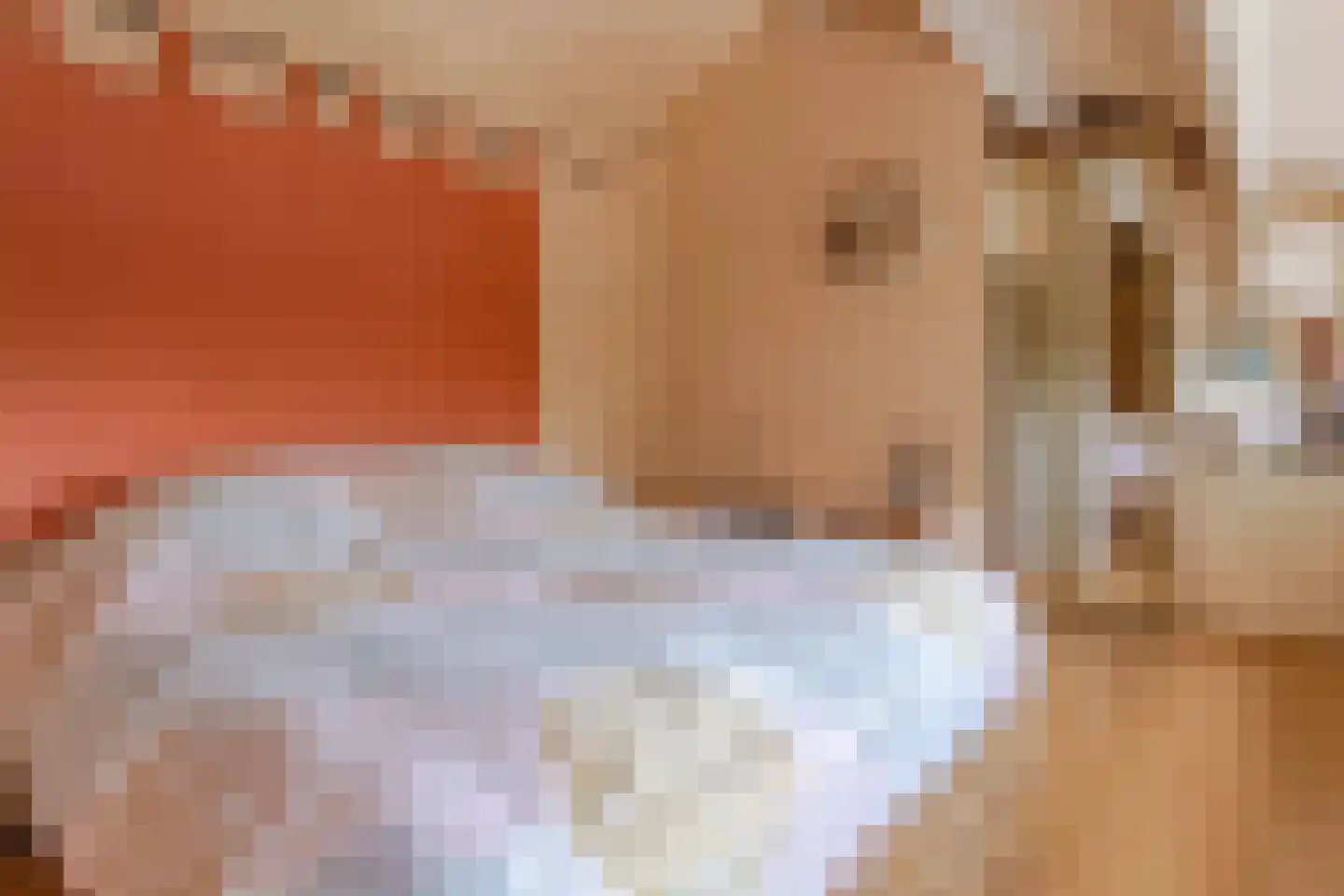 Klaverveld 1 Waddinxveen thumbnail 29