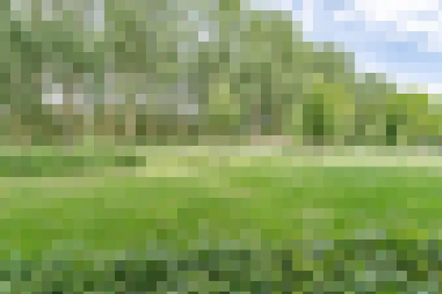 Klaverveld 1 Waddinxveen thumbnail 31