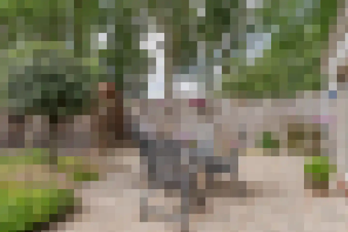 Klaverveld 1 Waddinxveen thumbnail 8