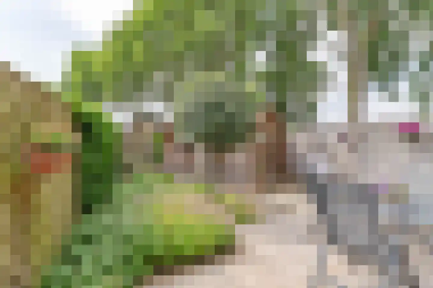 Klaverveld 1 Waddinxveen thumbnail 9