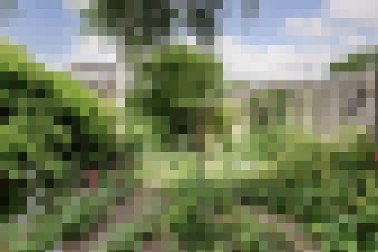 Klaverveld 17 Waddinxveen thumbnail 34