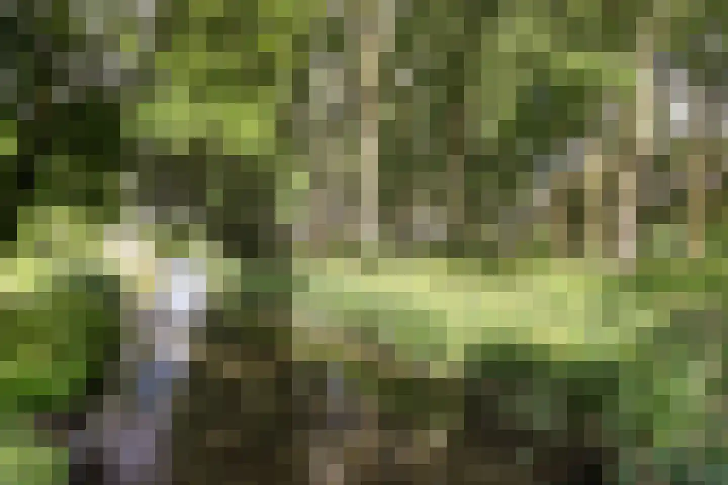 Klaverveld 17 Waddinxveen thumbnail 39