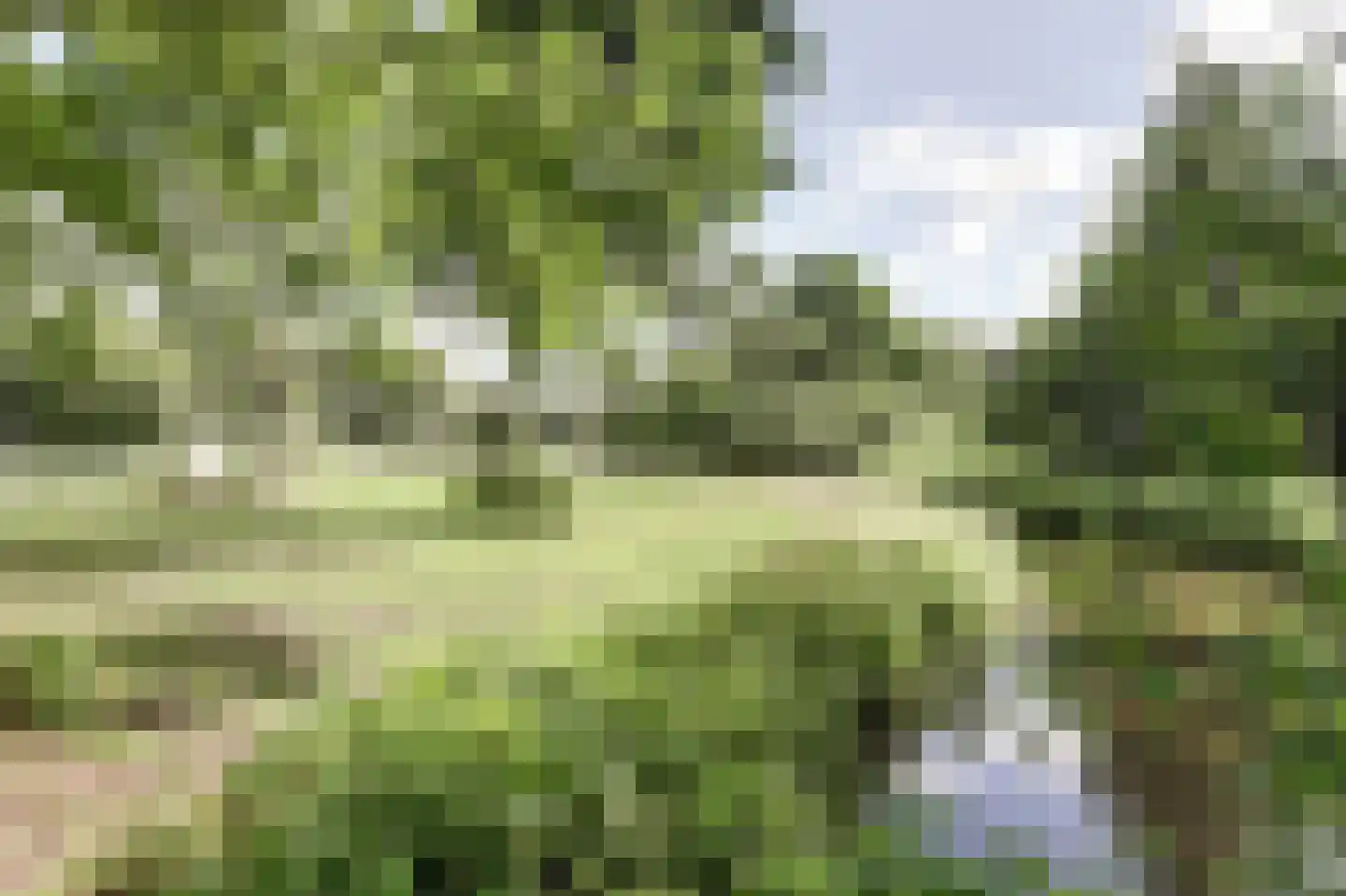 Klaverveld 17 Waddinxveen thumbnail 40