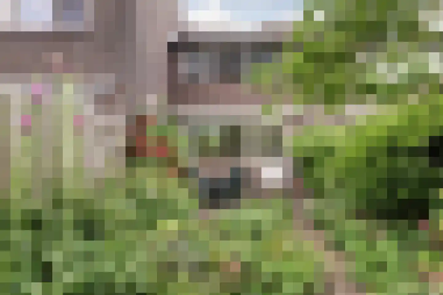 Klaverveld 17 Waddinxveen thumbnail 5