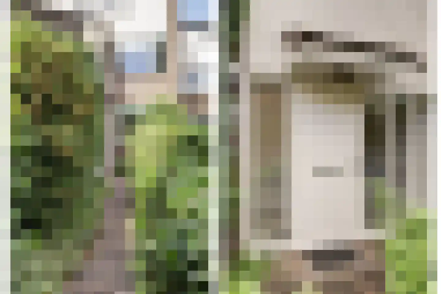 Klaverveld 17 Waddinxveen thumbnail 7