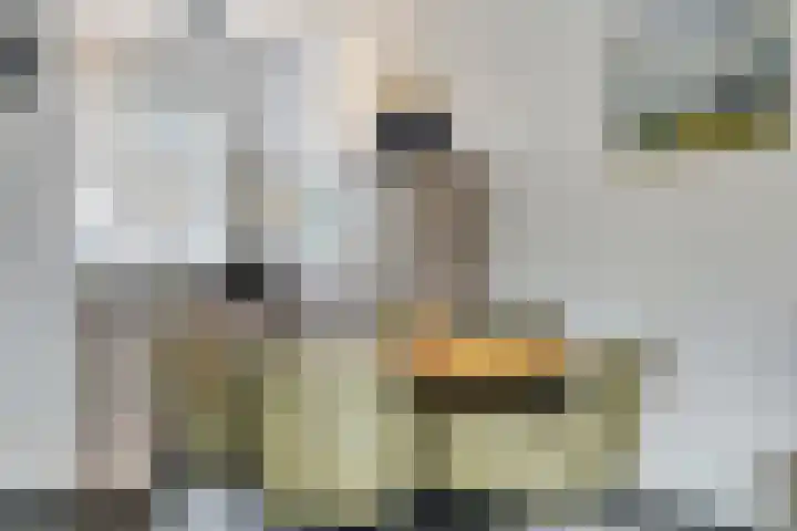 Klaverveld 2 Hulsberg thumbnail 12