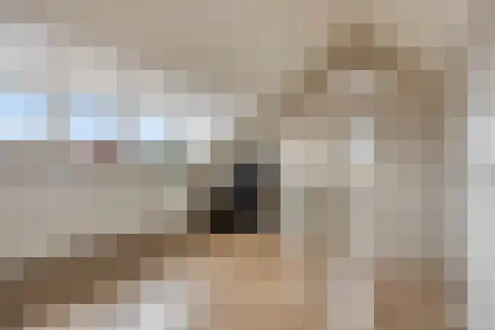 Klaverveld 2 Hulsberg thumbnail 4