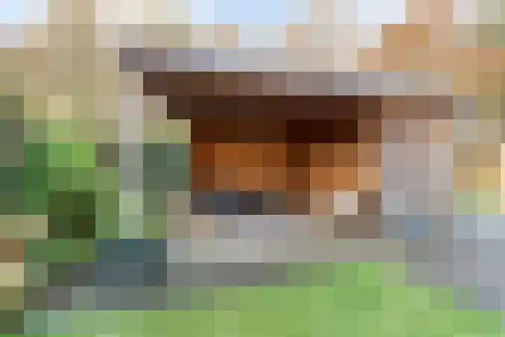 Klaverveld 25 Assen thumbnail 35