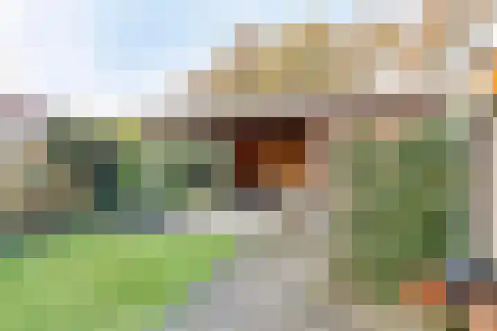 Klaverveld 25 Assen thumbnail 36