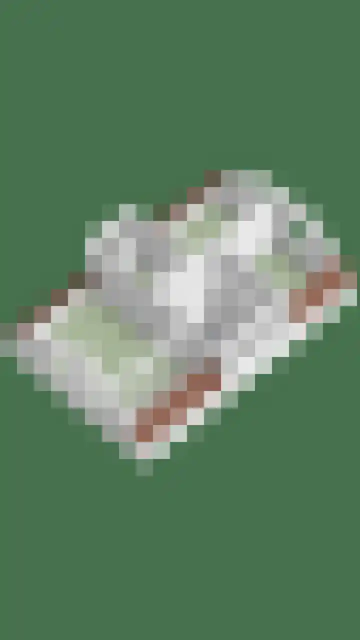 Klaverveld 25 Assen thumbnail 44
