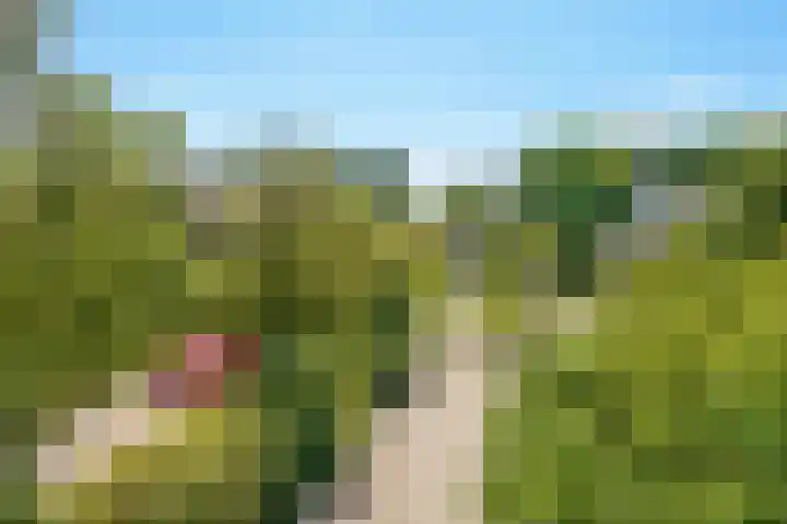 Klaverveld 4 Nieuw-Vennep thumbnail 37