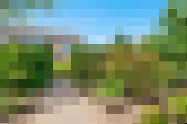 Klaverveld 4 Nieuw-Vennep thumbnail 38