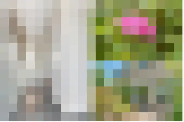 Klaverveld 4 Nieuw-Vennep thumbnail 5
