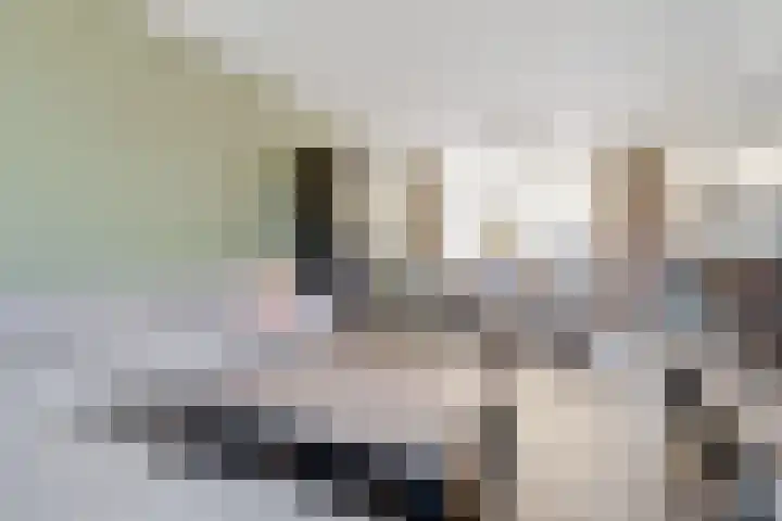 Klaverveld 4 Nieuw-Vennep thumbnail 8