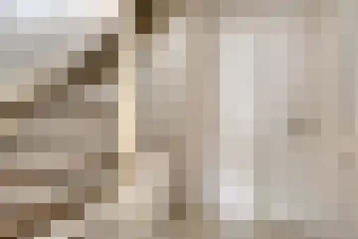 Klaverveld 41 Bavel thumbnail 16